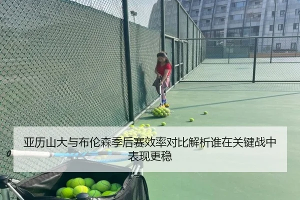 亚历山大与布伦森季后赛效率对比解析谁在关键战中表现更稳