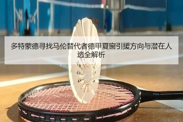 多特蒙德寻找马伦替代者德甲夏窗引援方向与潜在人选全解析